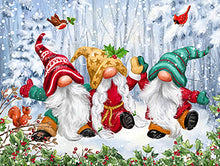 Load image into Gallery viewer, Three Winter Gnomes 300 pc Puzzle
